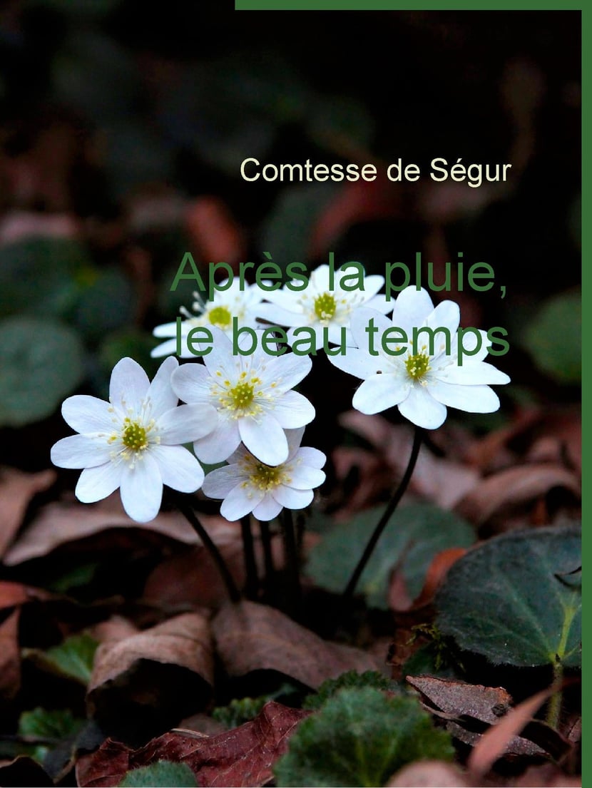 media/pim/38_metadata-image-70934707.jpeg