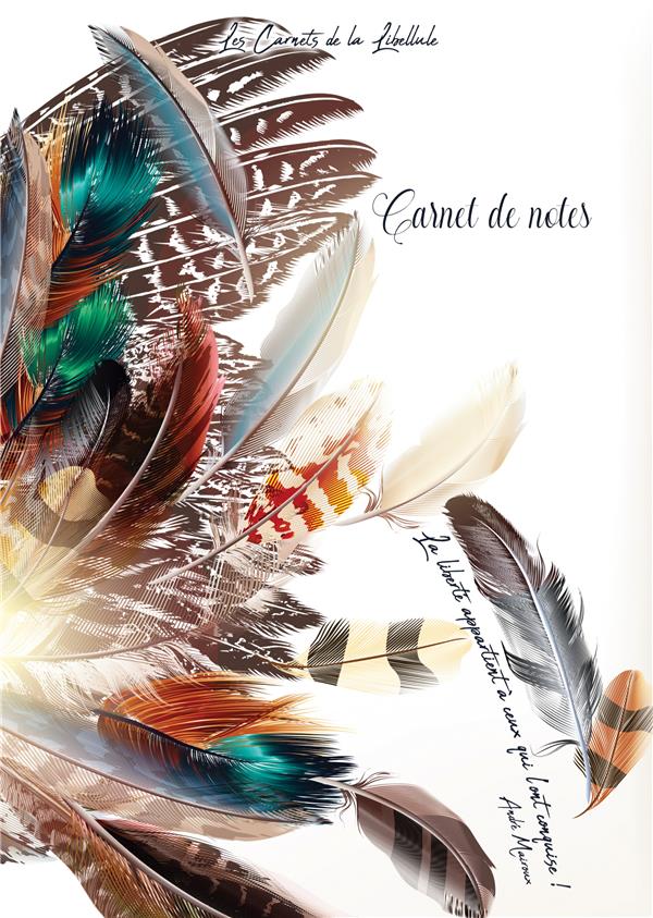 media/pim/3902415_16755998