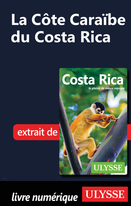 media/pim/39_3da1ddf5-7ffb-4cd6-8b58-4de4de9f7c70.jpeg