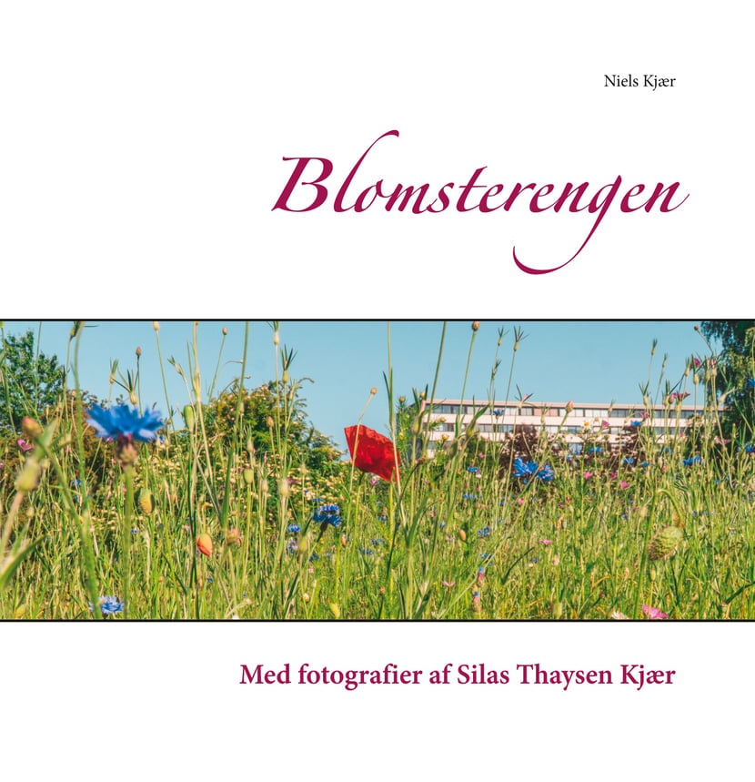 media/pim/39_metadata-image-41894625.jpeg