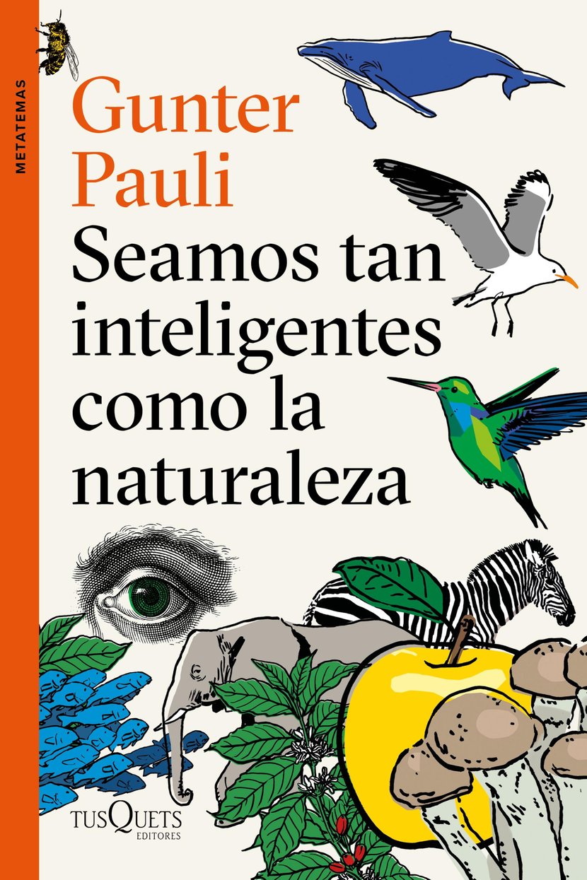media/pim/39_metadata-image-66232360.jpeg