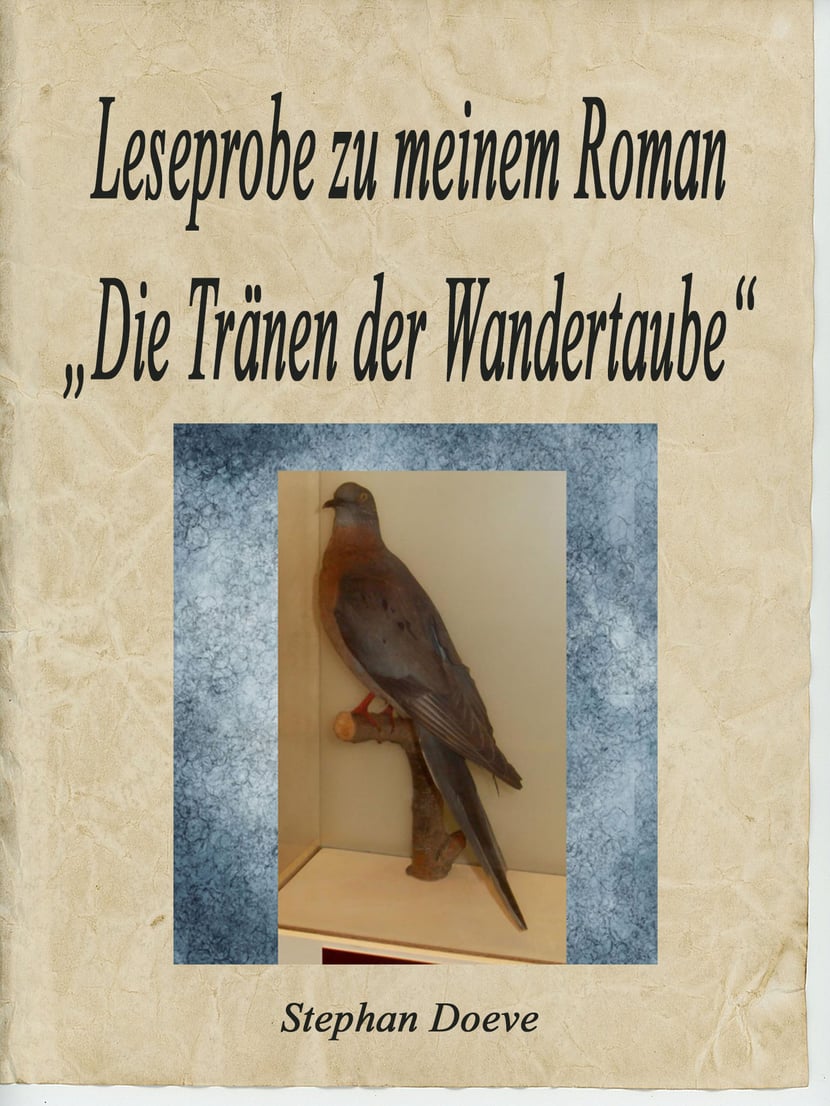 media/pim/39_metadata-image-70967206.jpeg