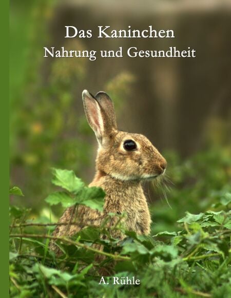 media/pim/39_metadata-image-70967433.jpeg