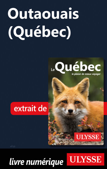 media/pim/3_65415205-d623-43c5-bae4-fa754bec610b.jpeg