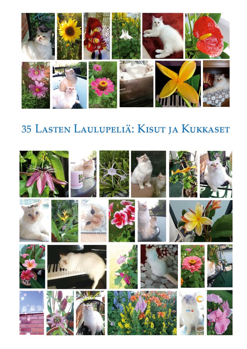 media/pim/3_metadata-image-48166838.jpeg