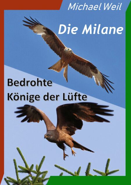 media/pim/3_metadata-image-69702401.jpeg