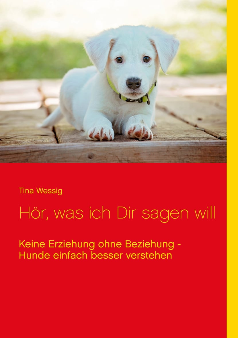 media/pim/3_metadata-image-70967392.jpeg