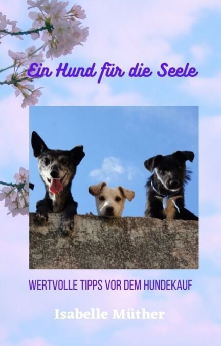 media/pim/3_metadata-image-71031878.jpeg
