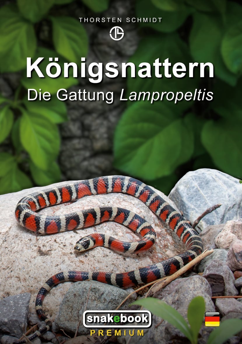 media/pim/3_metadata-image-75262827.jpeg