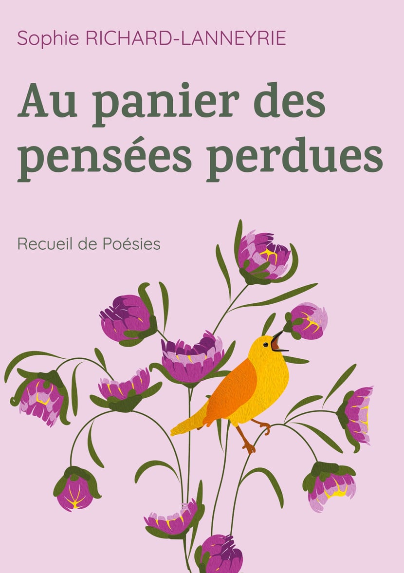 media/pim/3_metadata-image-77805302.jpeg
