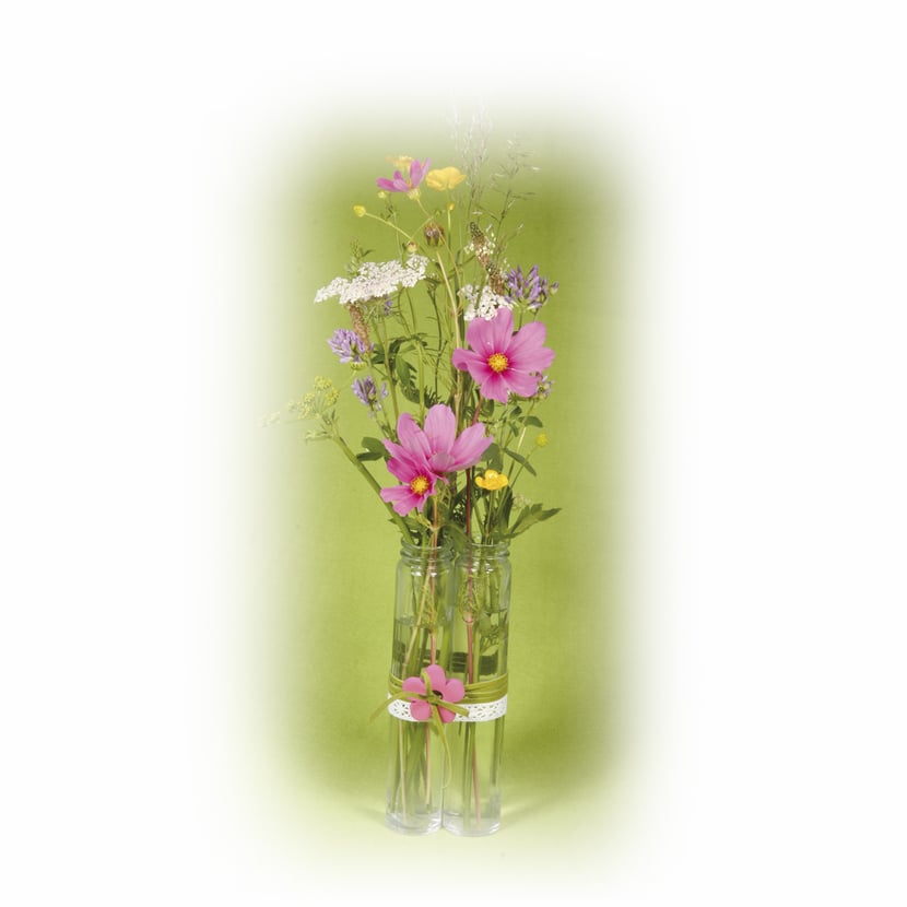 media/pim/3pcs-contenant-verre-d3x16cm-4006166374425_1.jpg