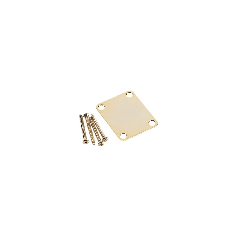 media/pim/4-bolt-vintage-neck-plate-plain-no-serial-number-or-logo-gold-0717669512897_0.jpg