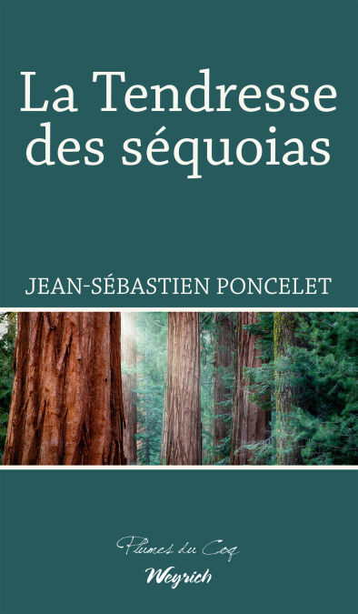 media/pim/40_8f743ae2-3dca-4d98-bb66-46a07824b931.jpeg