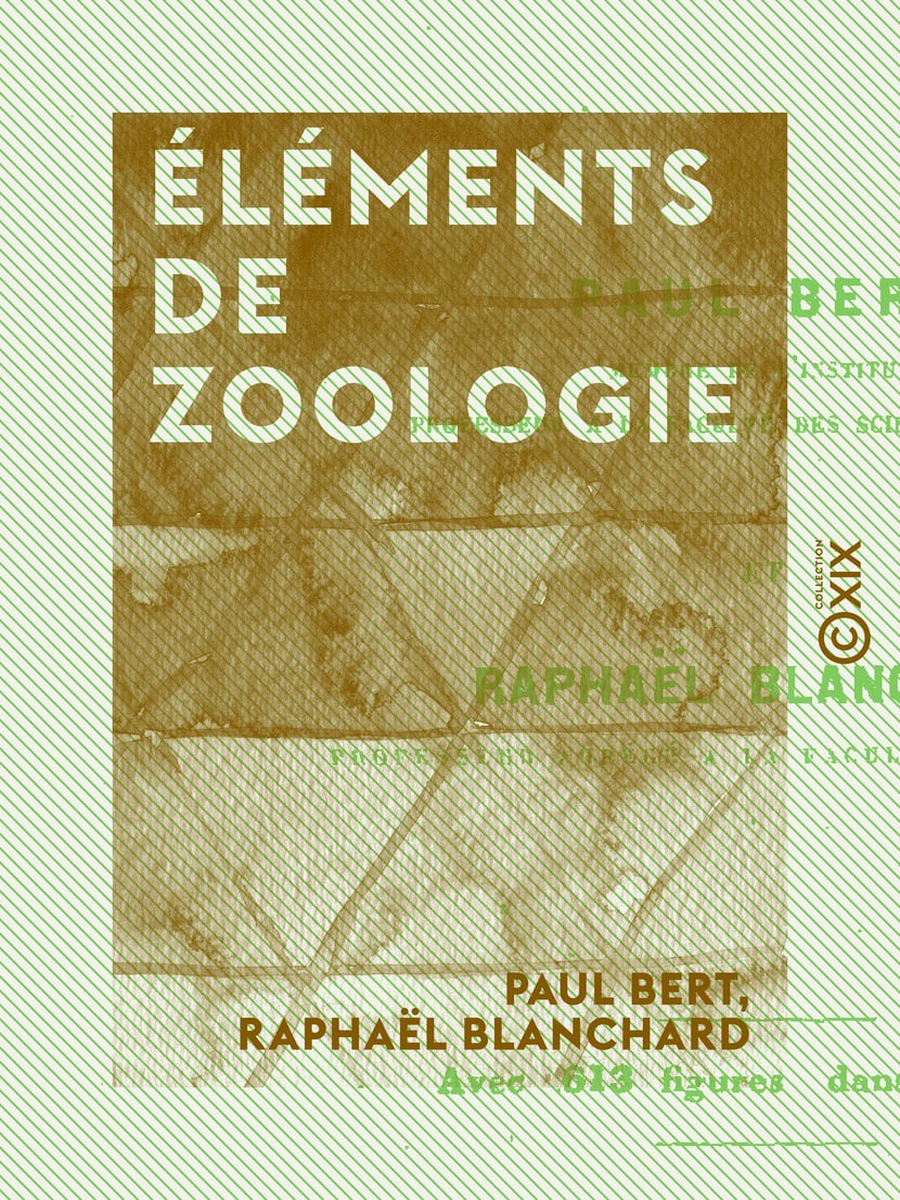 media/pim/40_metadata-image-13080402.png