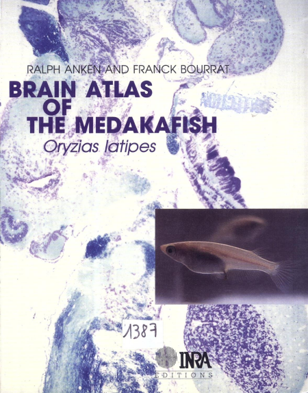 media/pim/40_metadata-image-1939315.png