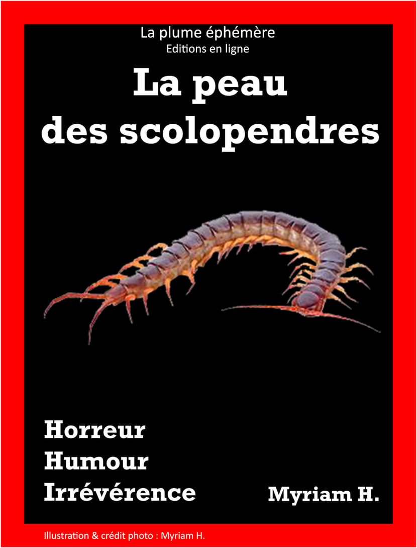 media/pim/40_metadata-image-36827744.png