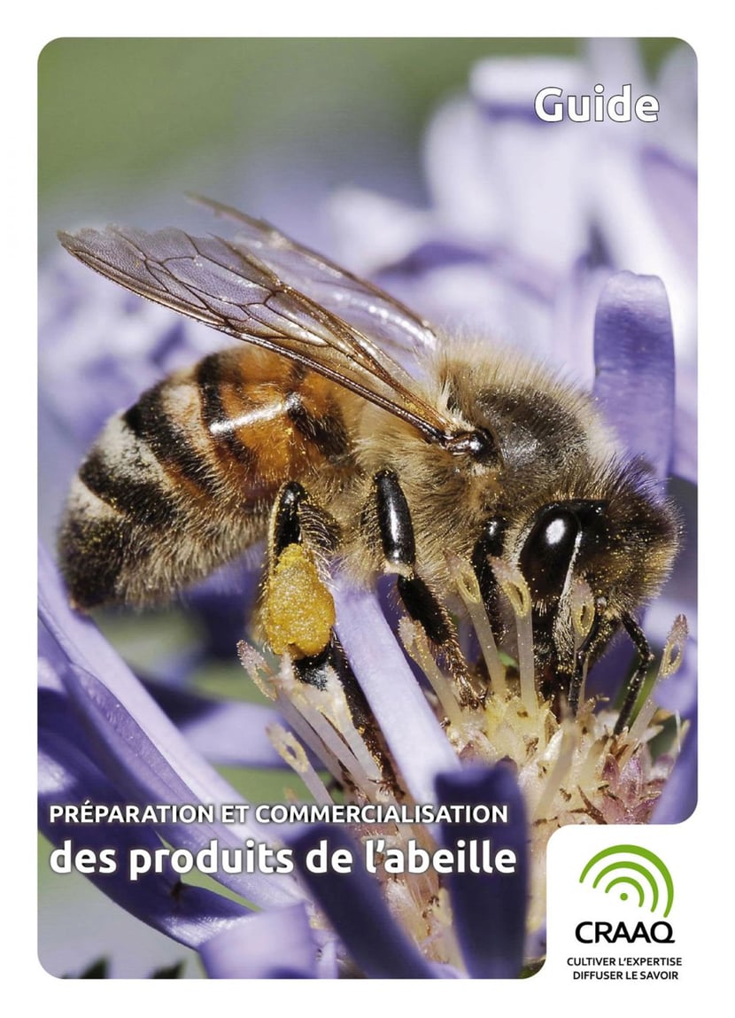 media/pim/40_metadata-image-43508240.jpeg
