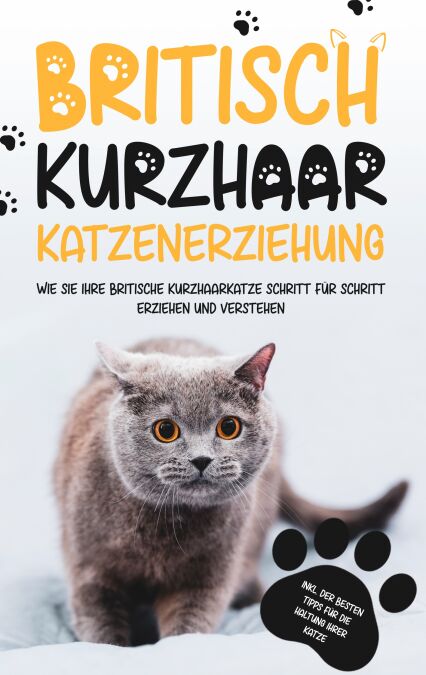 media/pim/40_metadata-image-56259285.jpeg