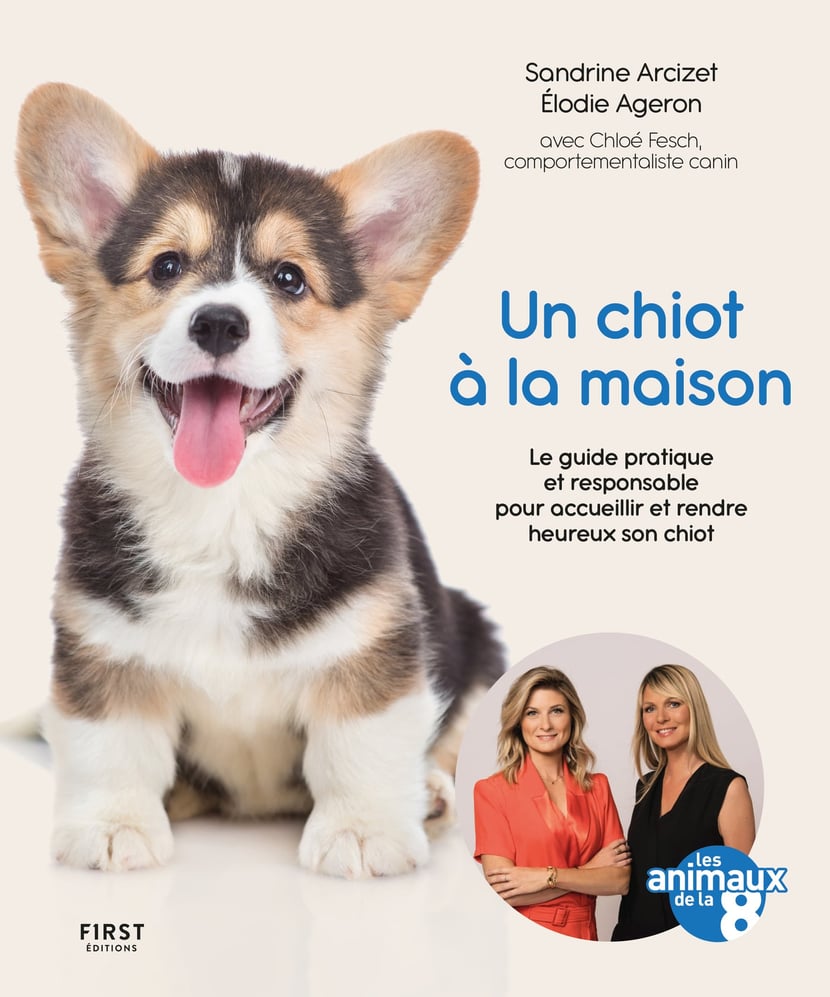 media/pim/40_metadata-image-61300361.jpeg