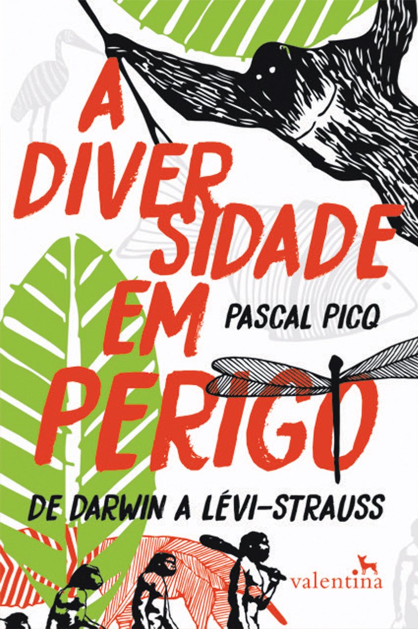 media/pim/40_metadata-image-67338050.jpeg