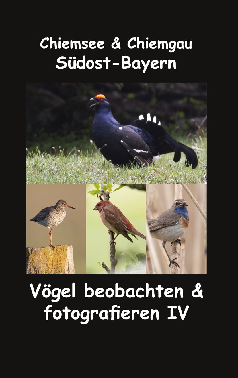 media/pim/41_metadata-image-42211967.jpeg