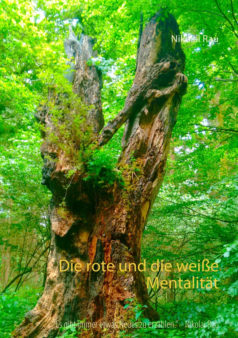 media/pim/41_metadata-image-70970385.jpeg