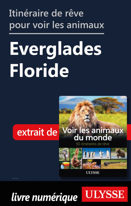 media/pim/42_cefb66cd-f38b-4bdd-a532-b76c7e39ff9b.jpeg