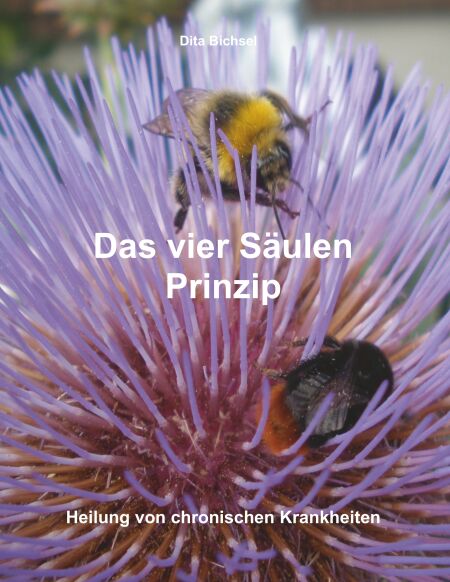 media/pim/42_metadata-image-32236821.jpeg