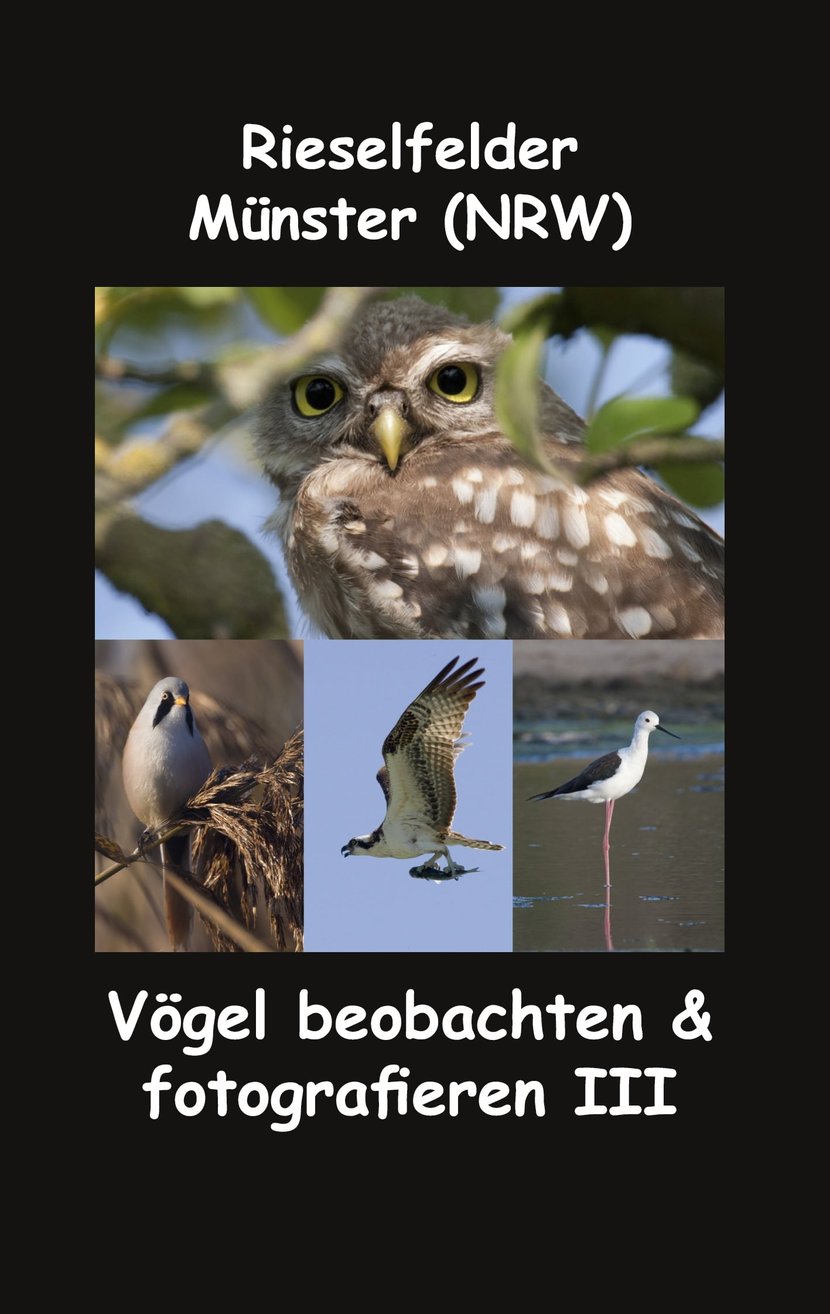 media/pim/42_metadata-image-42211968.jpeg