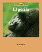 media/pim/42_metadata-image-67318785.jpeg