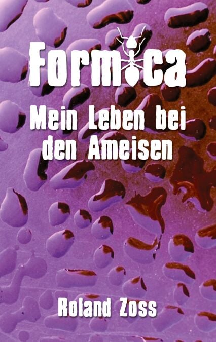 media/pim/42_metadata-image-76907854.jpeg