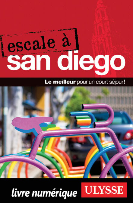 media/pim/43_9110cb9b-a80c-4368-b557-2ef027373872.jpeg