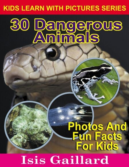 media/pim/43_d72d2afa-4d80-4e6a-97ca-a9de2e2bc34f.jpeg