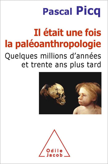 media/pim/43_metadata-image-35089876.jpeg
