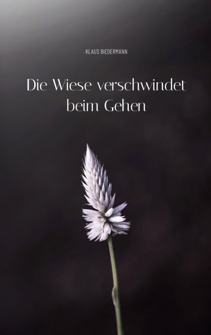 media/pim/43_metadata-image-46537332.jpeg