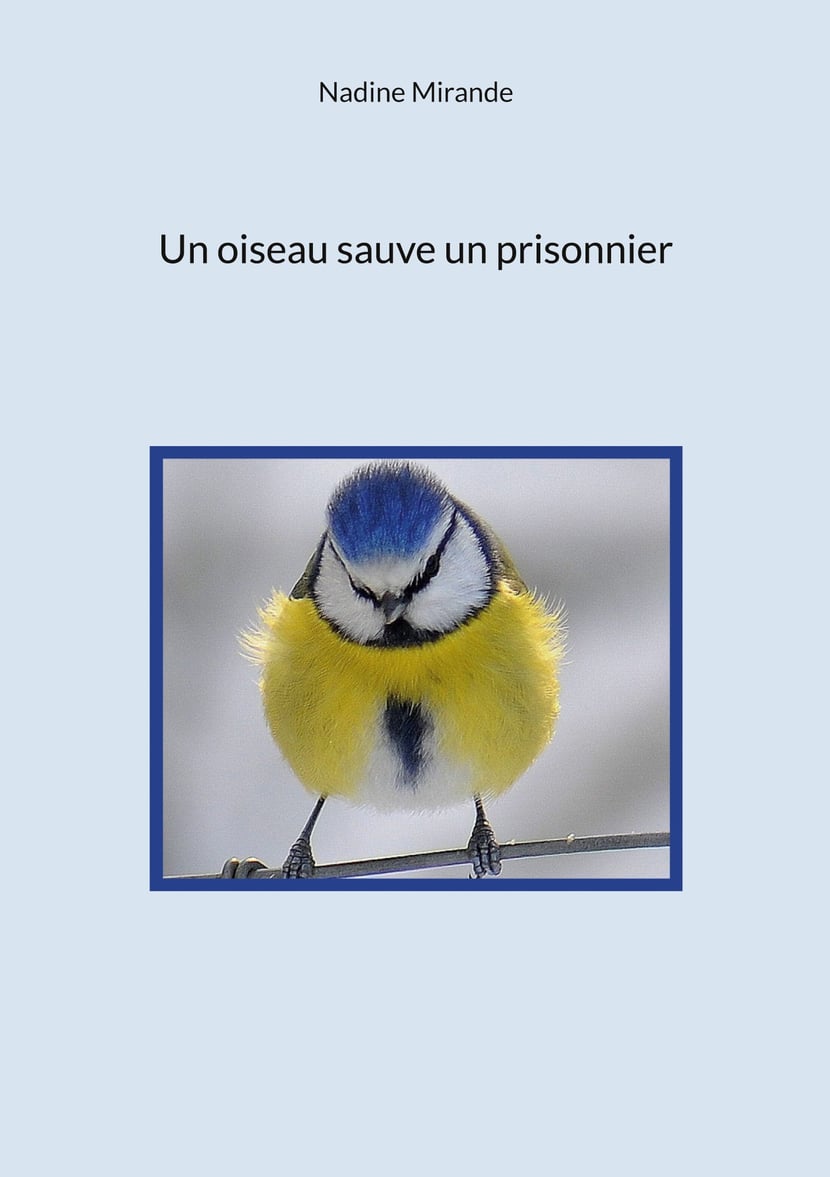 media/pim/43_metadata-image-67725775.jpeg