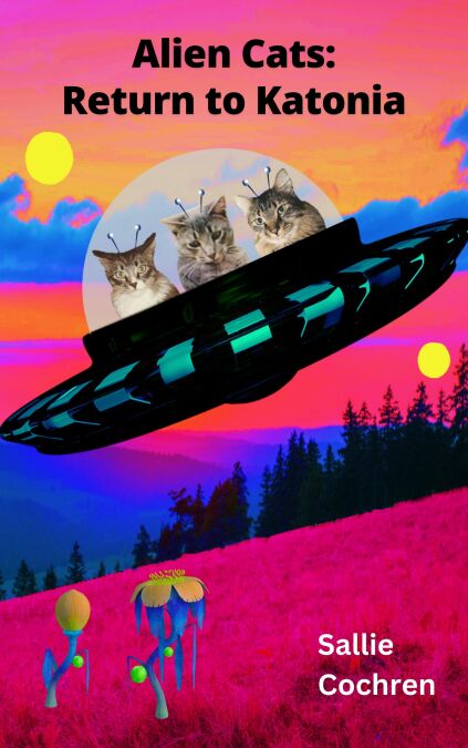 media/pim/44_fbe076f7-5b62-403e-882f-c1f121b74c55.jpeg