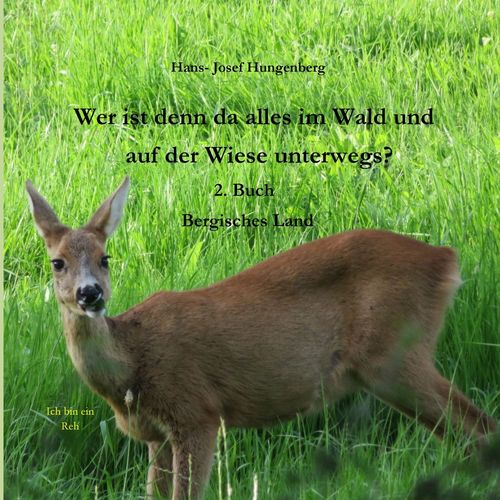 media/pim/44_metadata-image-37131440.jpeg