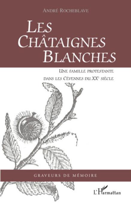 media/pim/44_metadata-image-8114549.jpeg