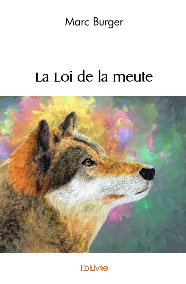 media/pim/4527777_de6rehxr_1