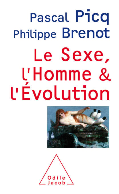 media/pim/45_289f8a96-97d3-4bfe-bfbe-f416cb79a6aa.jpeg
