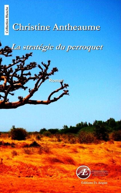 media/pim/45_2f23d6fe-7301-4a76-8496-a4cda40962ba.jpeg