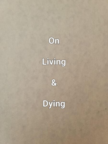 media/pim/45_332dcbfa-33df-45aa-9ed5-583aa82e0cd2.jpeg