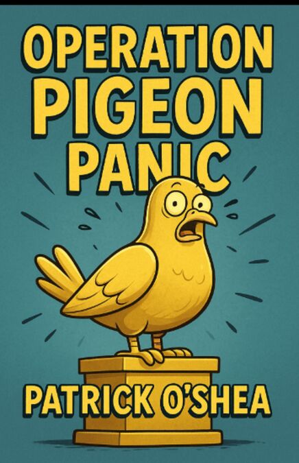 media/pim/45_3bf28a56-fc64-4215-96b3-bf8d1c0b9e63.jpeg