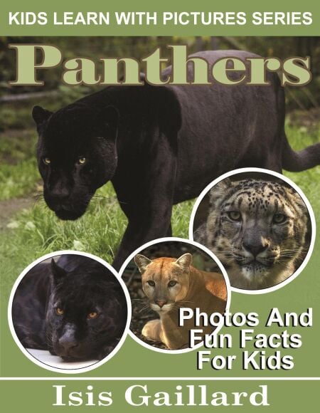 media/pim/45_3ebce05f-3a2f-44a2-b2c1-ae9bff57a880.jpeg