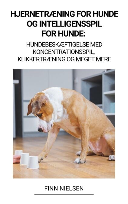 media/pim/45_5ecf09a5-2745-49d9-98f1-4a49d21dcc3f.jpeg