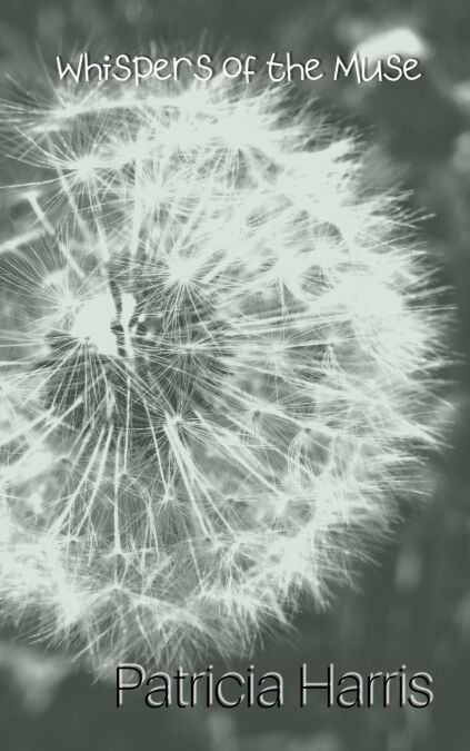 media/pim/45_6603c098-ef65-435d-ac2e-131b4252b08b.jpeg
