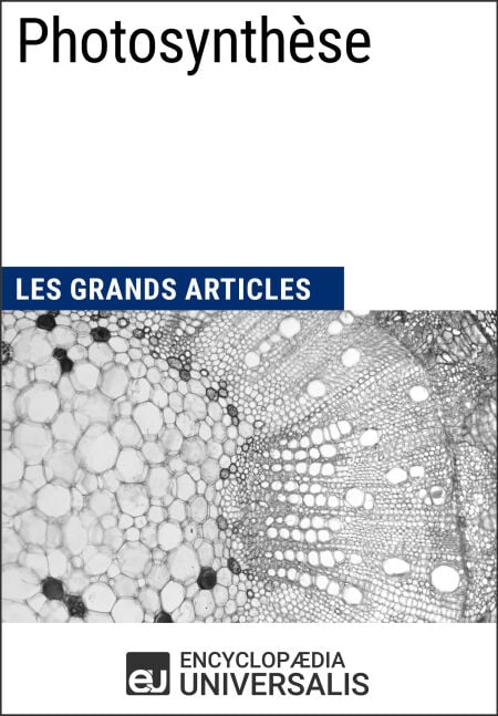 media/pim/45_6ec59330-abb3-4e84-bf65-79492cb08f2f.jpeg