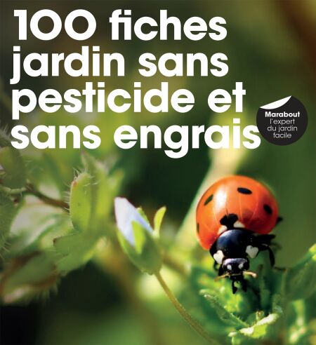 media/pim/45_9ba9cddd-9844-4a4a-bbc0-1f8e0ad43da3.jpeg