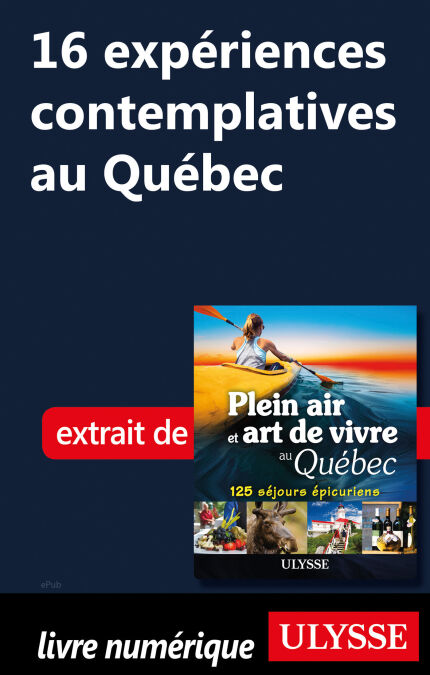 media/pim/45_e86121ed-4768-4784-b8ba-c6023f485908.jpeg